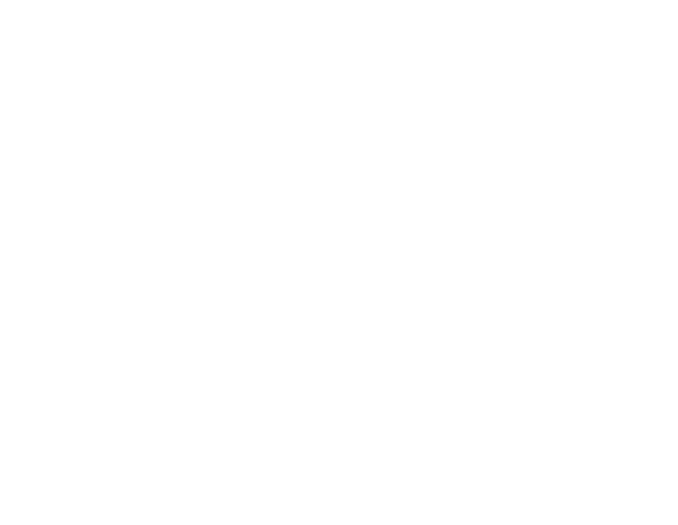 Crazy Pizza
